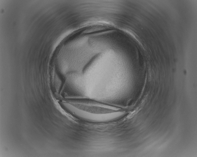 X0000072981038200608211344