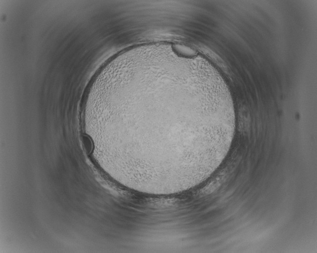 X0000072981039200608211344