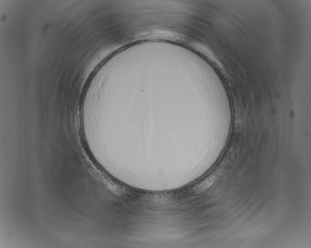 X0000072981040200608211344