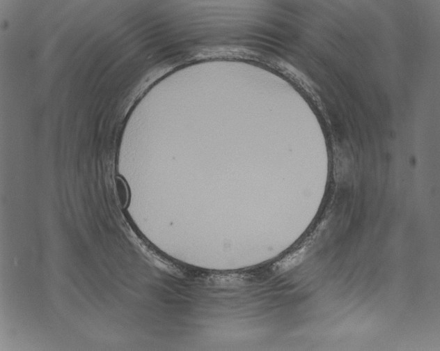 X0000072981041200608211344