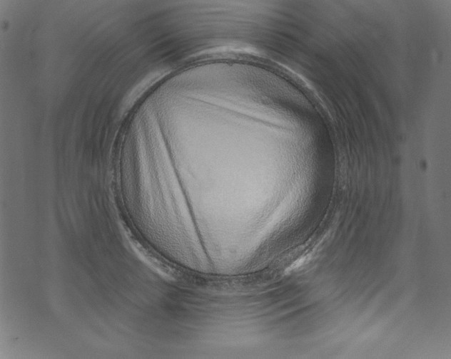 X0000072981042200608211345