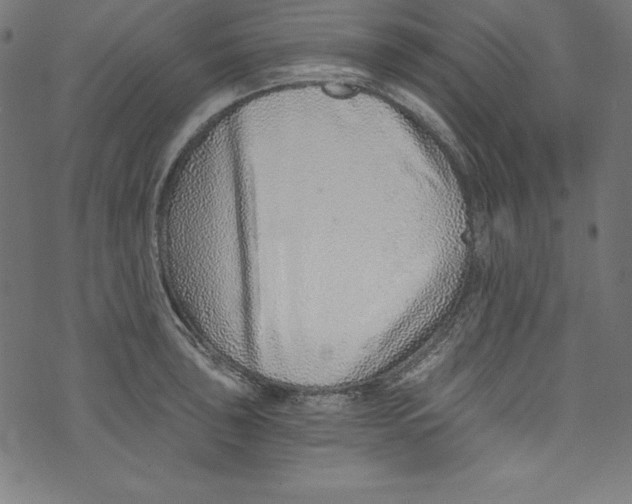 X0000072981043200608211345