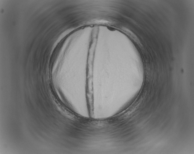 X0000072981044200608211345