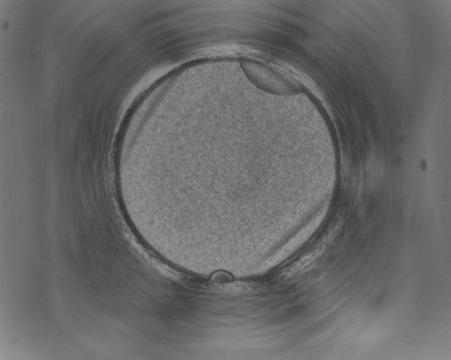 X0000072981045200608211345