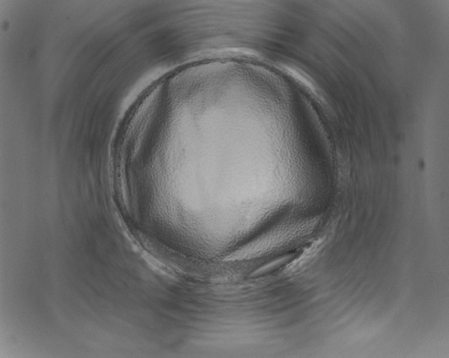 X0000072981046200608211345