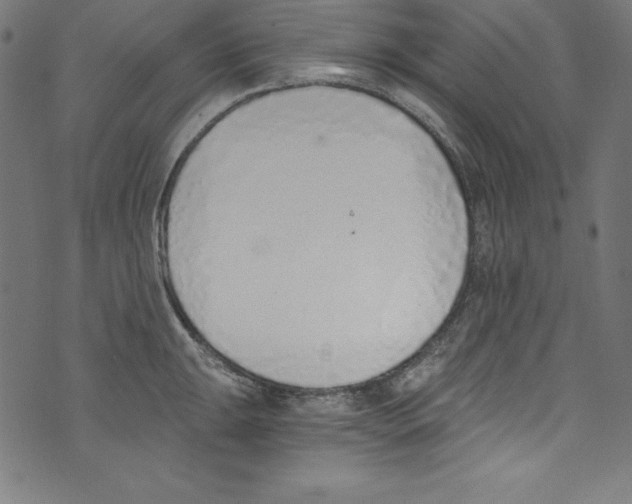 X0000072981047200608211345