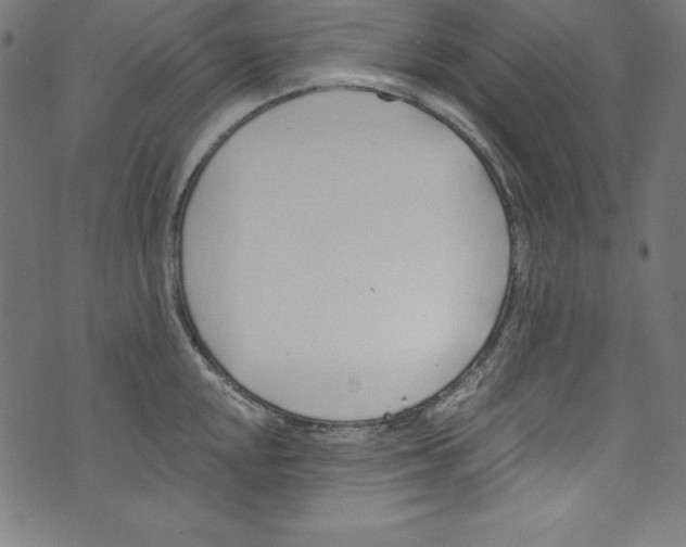 X0000072981048200608211345