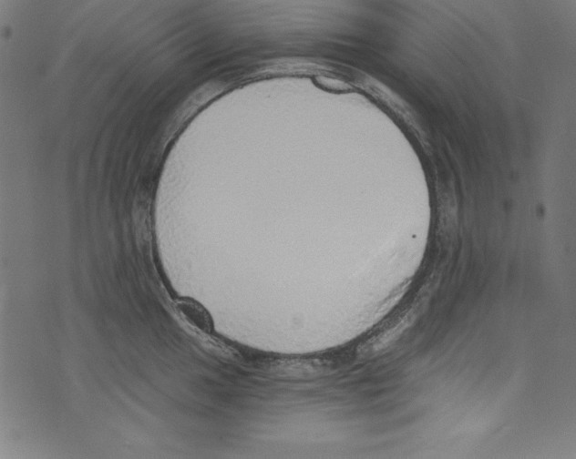 X0000072981049200608211345