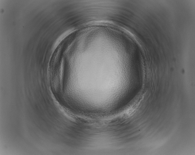 X0000072981050200608211345