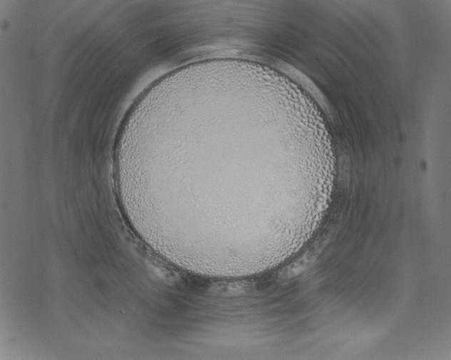 X0000072981051200608211345