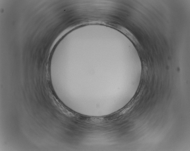 X0000072981052200608211345