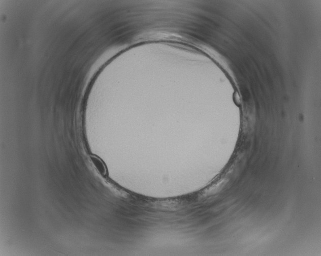 X0000072981053200608211345