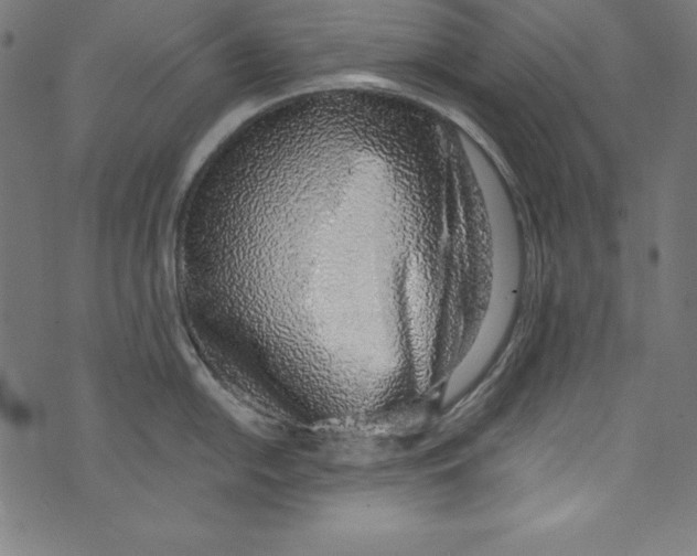 X0000072981054200608211345