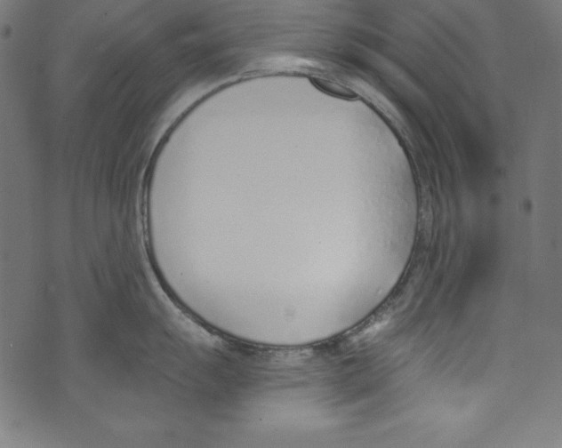 X0000072981055200608211345