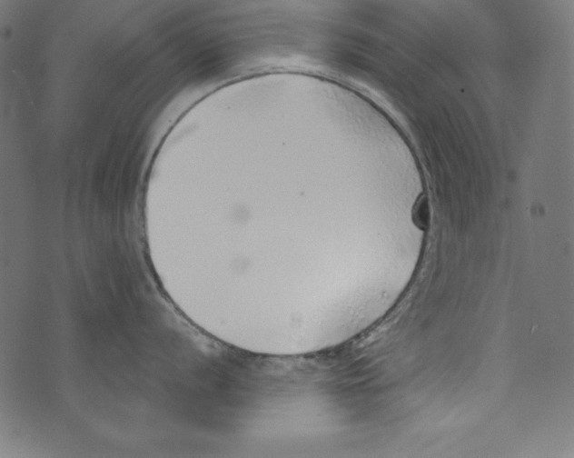 X0000072981056200608211345