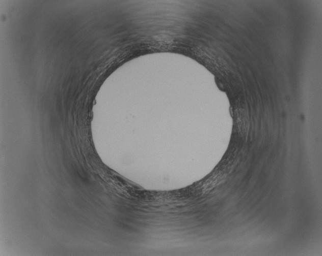 X0000072981057200608211344