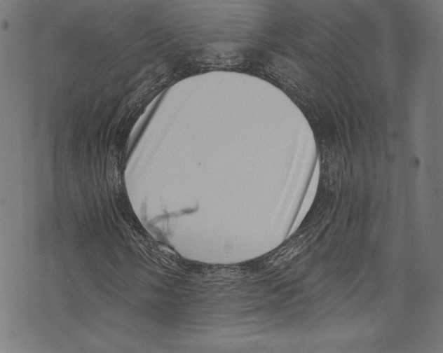 X0000072981058200608211344