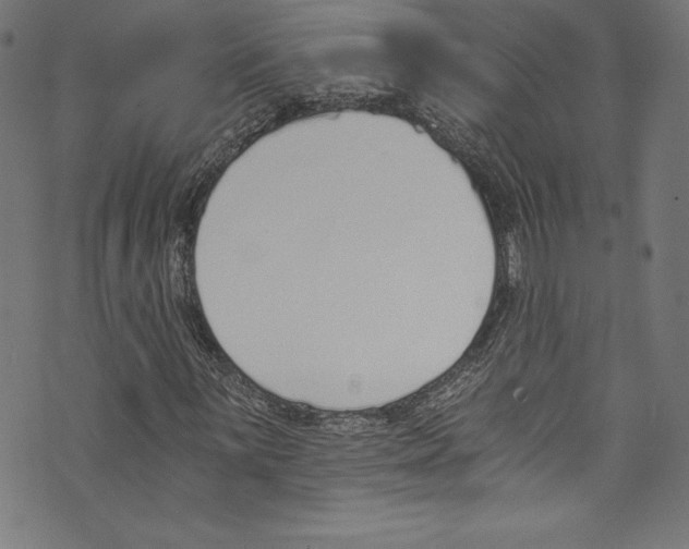 X0000072981059200608211344