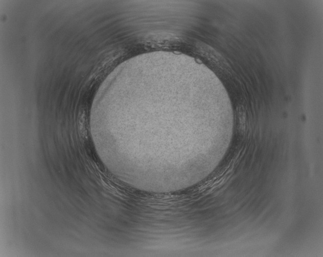 X0000072981060200608211344