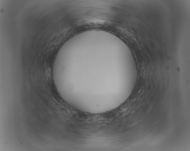 X0000072981061200608211344