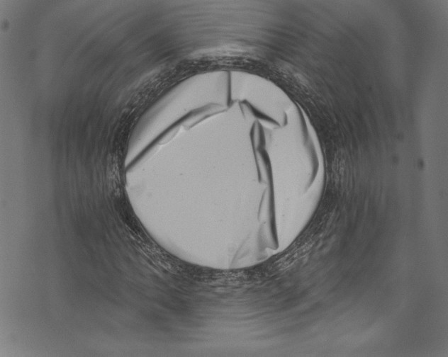 X0000072981062200608211344