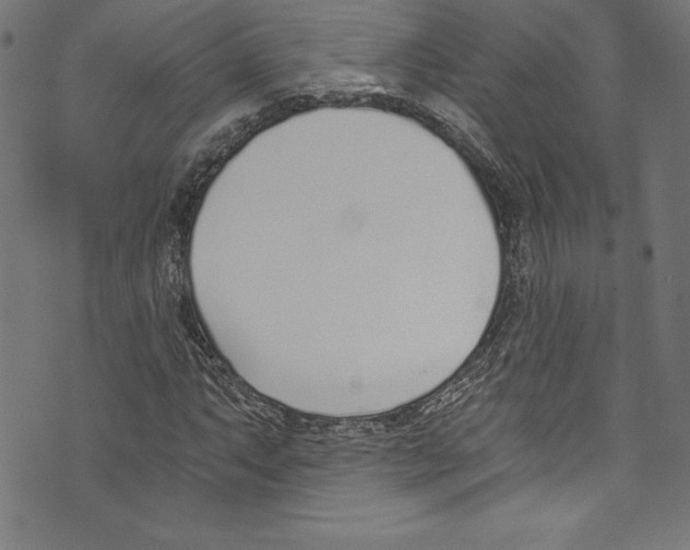 X0000072981063200608211344