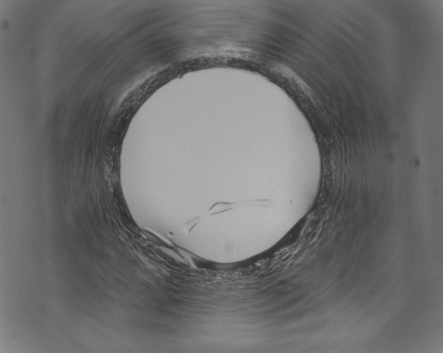 X0000072981064200608211344