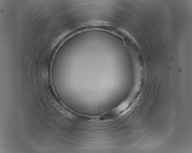 X0000072981065200608211344