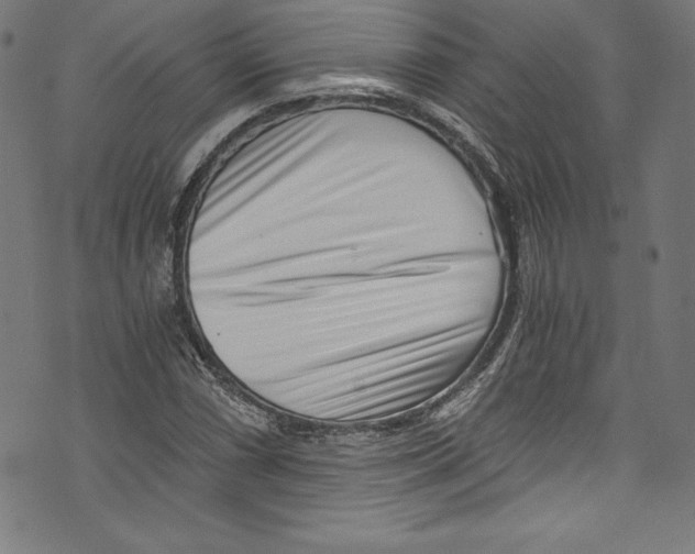 X0000072981066200608211344