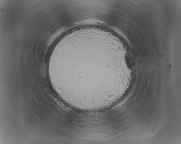 X0000072981067200608211344