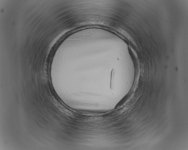 X0000072981068200608211344