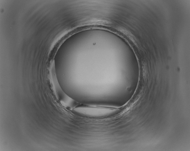 X0000072981069200608211344