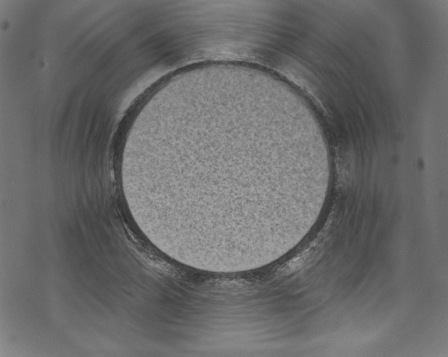 X0000072981070200608211344