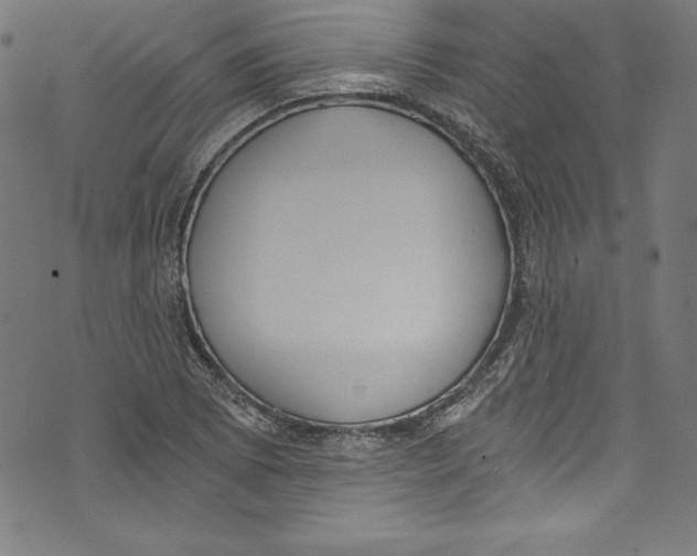 X0000072981073200608211344