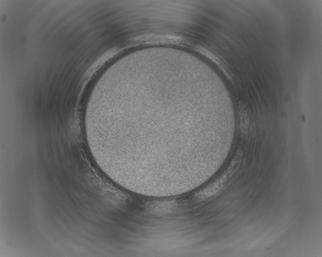 X0000072981074200608211344