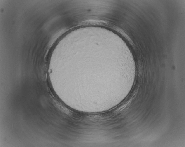 X0000072981075200608211344