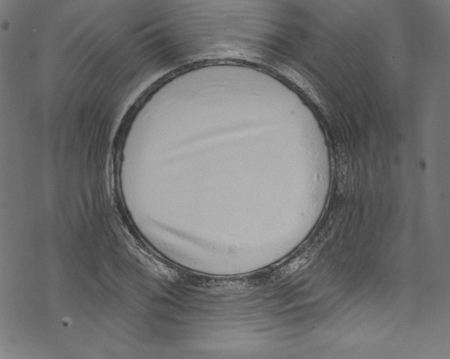 X0000072981076200608211344