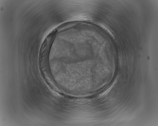 X0000072981077200608211344