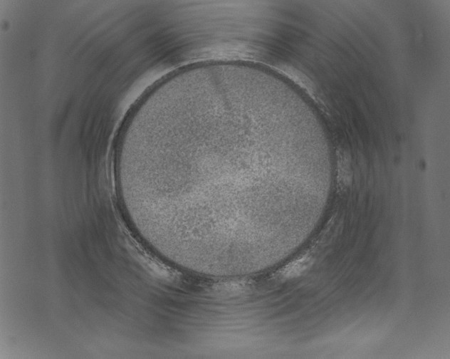 X0000072981078200608211344