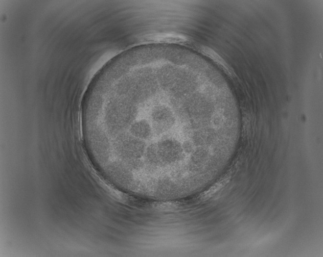 X0000072981079200608211344