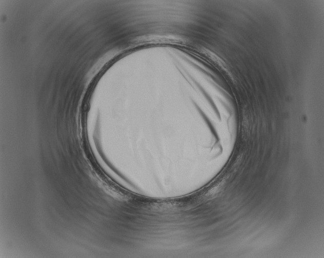 X0000072981082200608211344