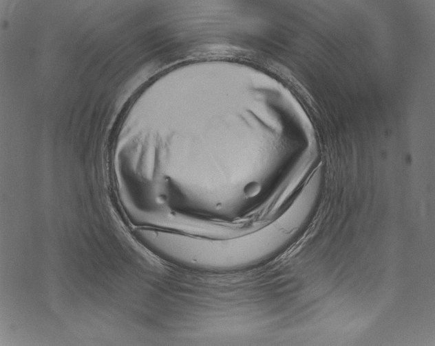 X0000072981083200608211344