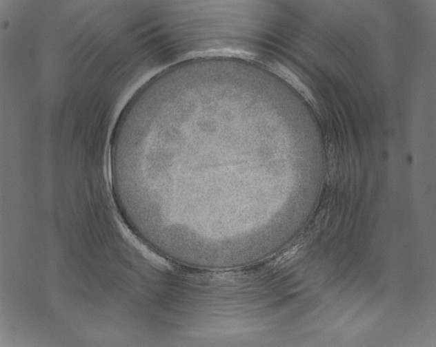 X0000072981084200608211344