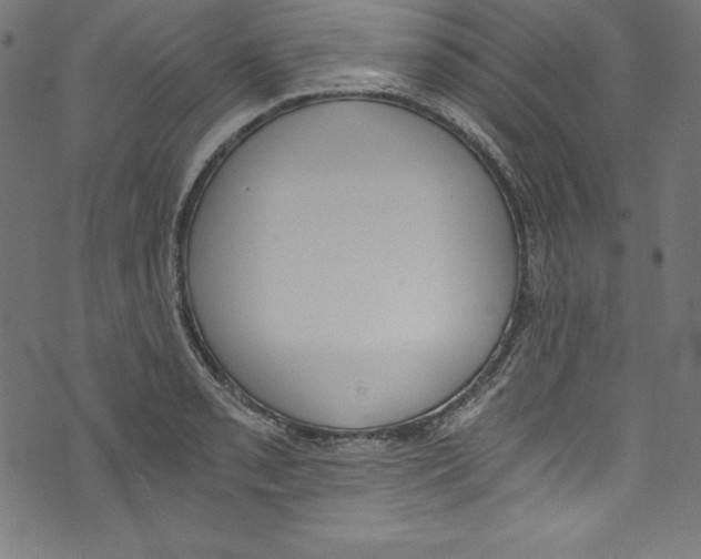 X0000072981085200608211344