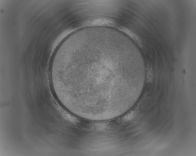 X0000072981086200608211343