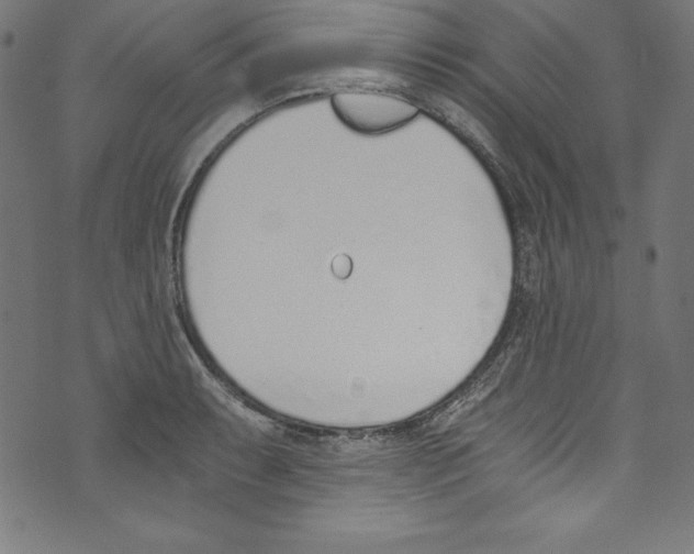 X0000072981087200608211343