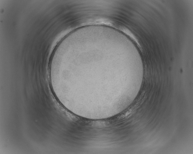 X0000072981088200608211343