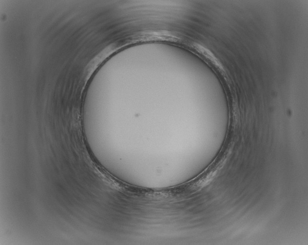 X0000072981089200608211343