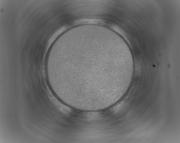 X0000072981090200608211343