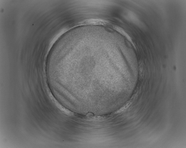 X0000072981091200608211343